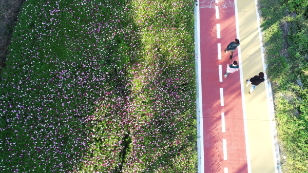 대천천 산책로 모습