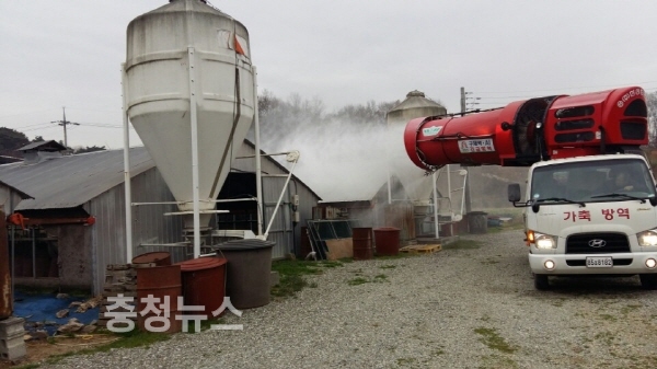 AI조류독감 예방 방역 소독 모습