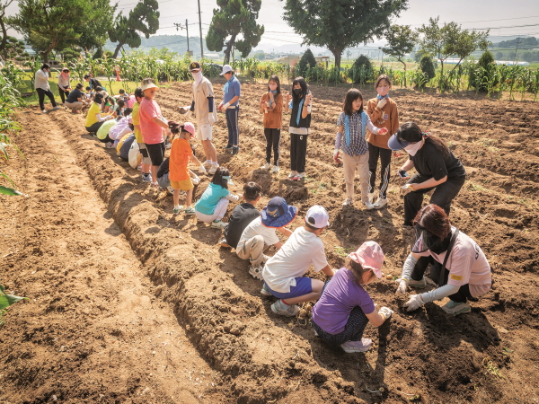 성남초등학교 학생들이 생활원예 체험을 하고 있다.