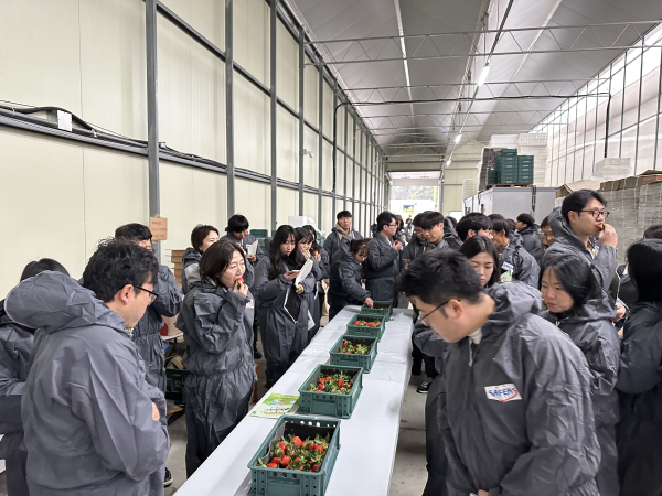스마트팜 견학 사진