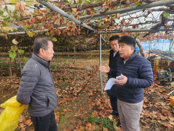 백남성 농협충남세종본부장(오른쪽)과 한한수 입장농협조합장(왼쪽)이 포도재배 시설하우스 폭설피해 현장을 찾아 복구대책을 논의하고 있다.