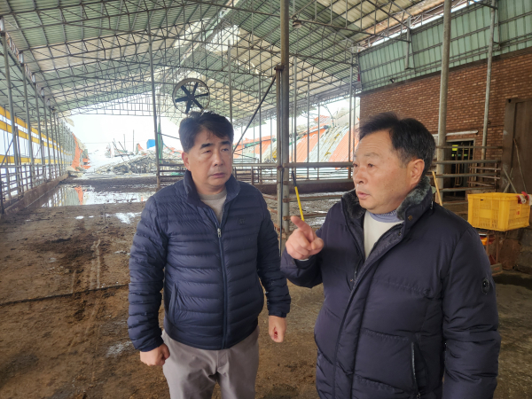백남성 농협충남세종본부장(왼쪽)과 맹광렬 천안공주낙협조합장(오른쪽)이 성환읍 축사 붕괴현장을 찾아 복구대책을 논의하고 있다.