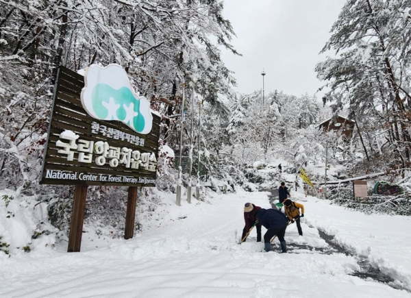 한국산림복지진흥원 포이가디언스 대원이 국립양평치유의숲에서 제설작업을 하고 있다.