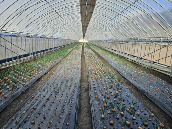 스마트팜학과 현장교육
