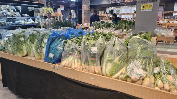 김장 채소류 안전검사 모습