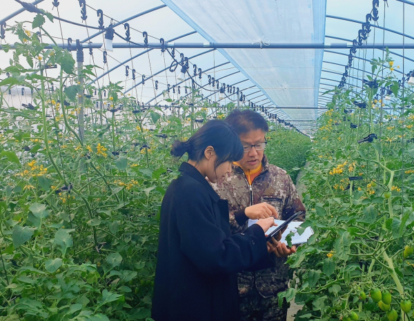 통제관제 시스템 컨설팅 모습