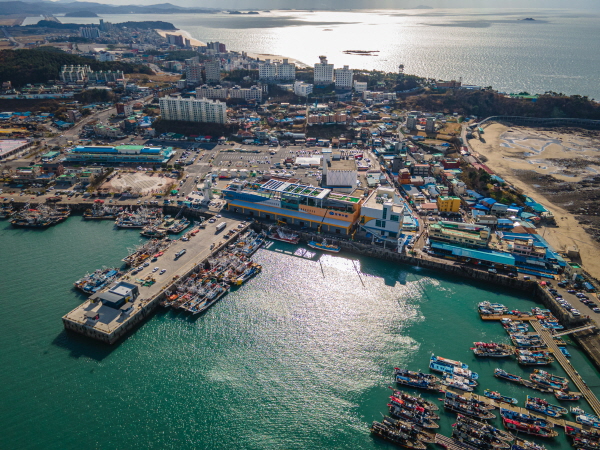 대천항수산시장 항공사진