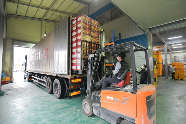 공주시 농특산물 수출 (고맛나루 배)