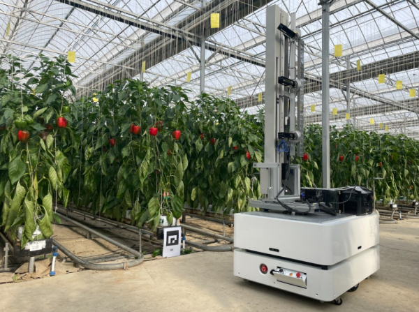 AI 기반 스마트팜 자율주행 로봇 재배 사진