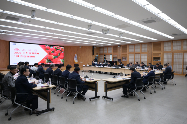 제1차 논산딸기축제 추진위원회