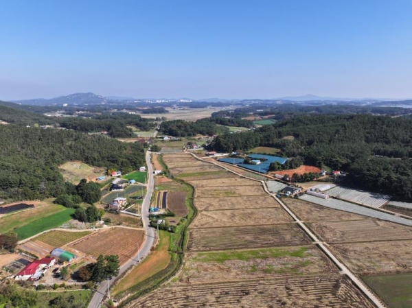 근흥면 냉금지구 모습.