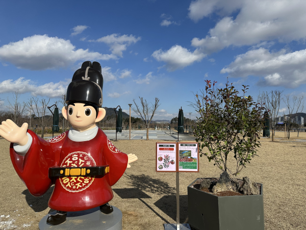 세종 중앙공원 방문자센터 이달의 식물 전시