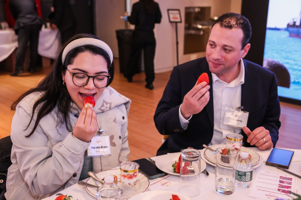 딸기를 맛보는 현지 바이어들