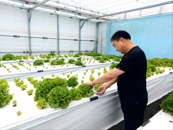 2024년 신규농업인 현장실습 교육 모습