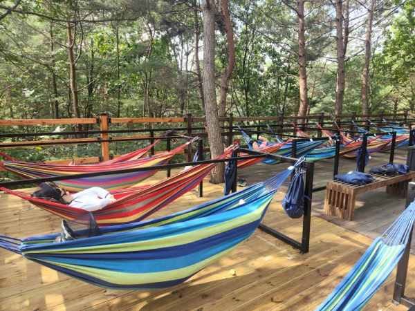 신선한 숲해먹 체험 모습