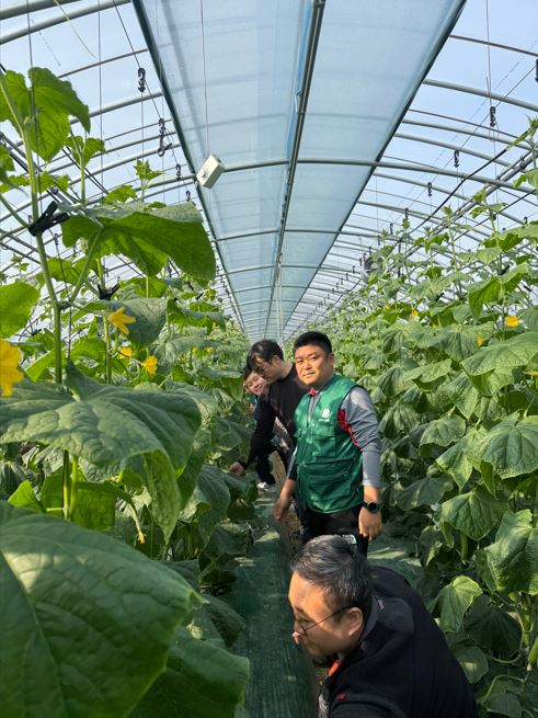 원예특작분야 사업 자료 사진