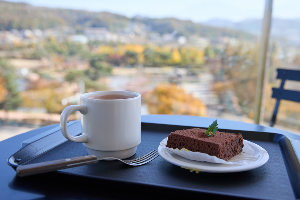 아산 신정호 정원과 신정호 카페