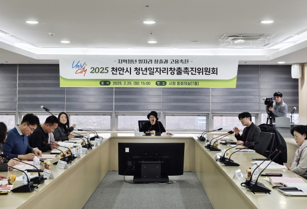 지난 25일 시청 중회의실에서 청년 일자리창출촉진위원회 회의를 열고 청년 일자리 창출 계획을 심의했다.