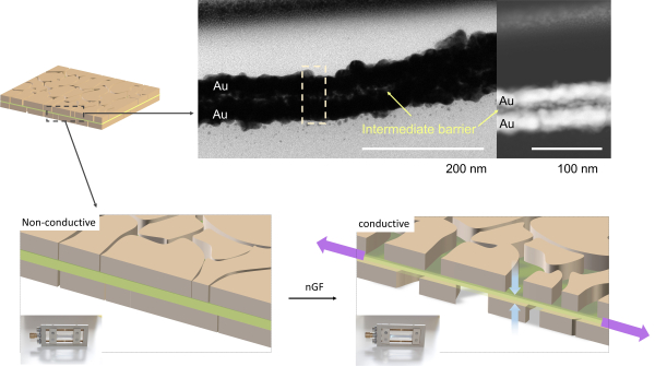 ▲ 금 박막 사이에 소프트 물질인, PDMS (Polydimethylsiloxane) 이 삽입된 샌드위치 구조. 신축 인장하에서 포아송 효과(Poisson's effect)에 의해 터널링 커런트가 증가하면서 높은 음의 저항변화 (절연성 → 금속성) 가 발생한다.
