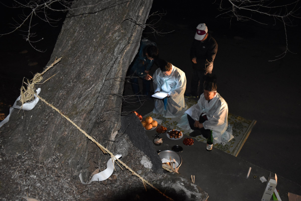 세종 등곡리동제 탑제