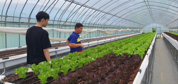 신규농업인 현장실습교육