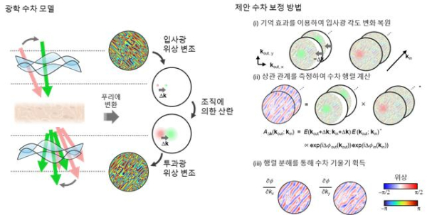 연구 흐름도. 광학 기억 효과를 이용하여 복잡한 수차 복원 및 정량적 분석을 할 수 있다.