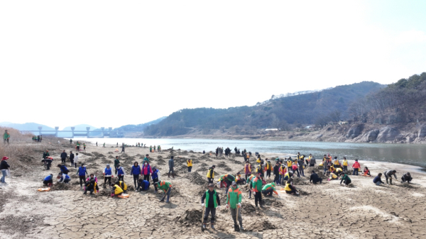 고마나루 퇴적토 제거작업 모습