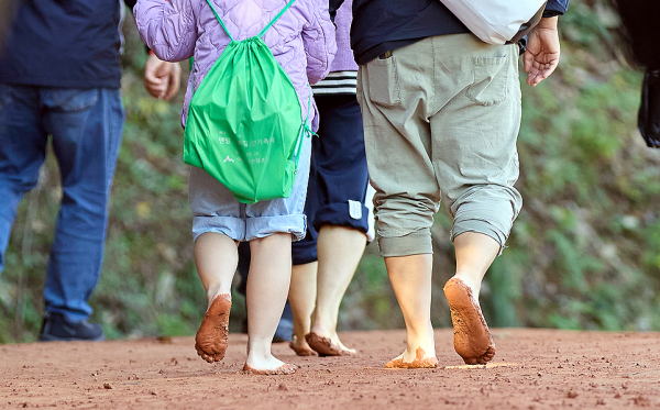 궁평저수지 맨발 황톳길 걷기 축제