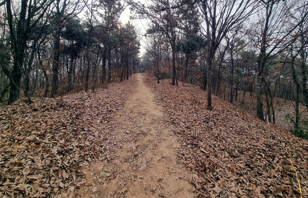 둔포중앙공원 산책로