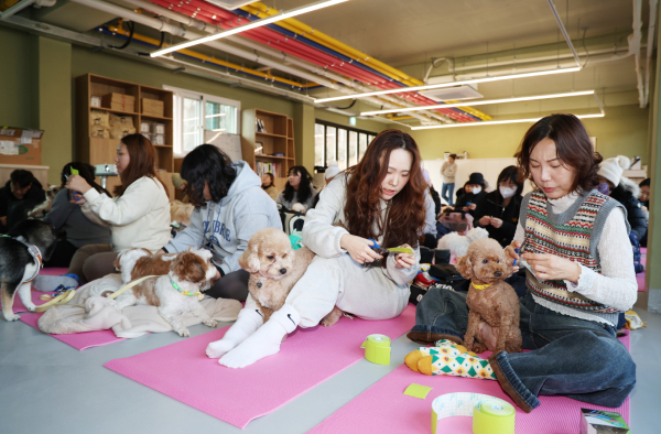 반려동물과 함께 태안을 찾은 관광객들 모습