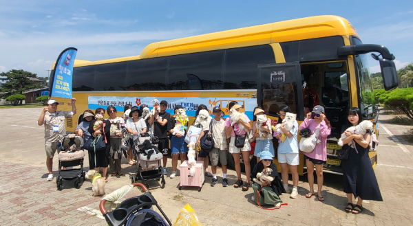 반려동물과 함께 태안을 찾은 관광객들 모습