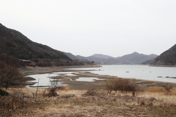 2025년 3월 보령댐 모습