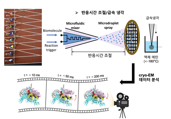 미세유체채널을 이용한 시간분해 초저온 전자현미경 기법