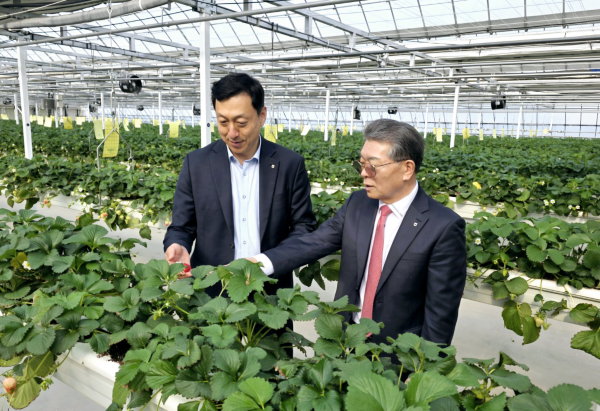 조덕현조합장(오른쪽)이 정해웅본부장(오른쪽)에게 스마트팜 재배방식의 장점에 대해 설명하고 있다.