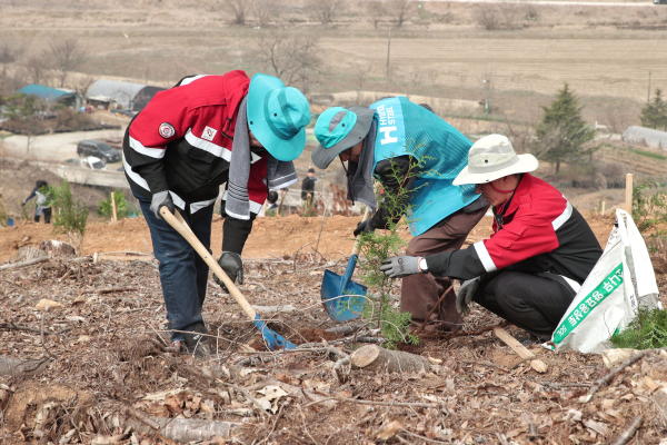 식목일 나무 심기 행사 모습