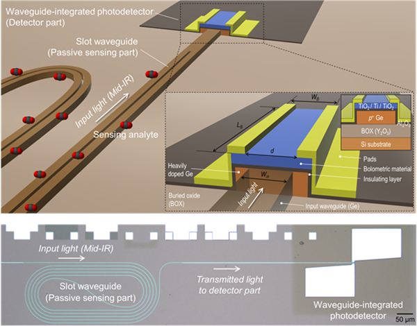연구팀이 개발한 광검출기 개략도