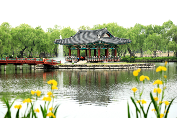 부여 궁남지(봄)