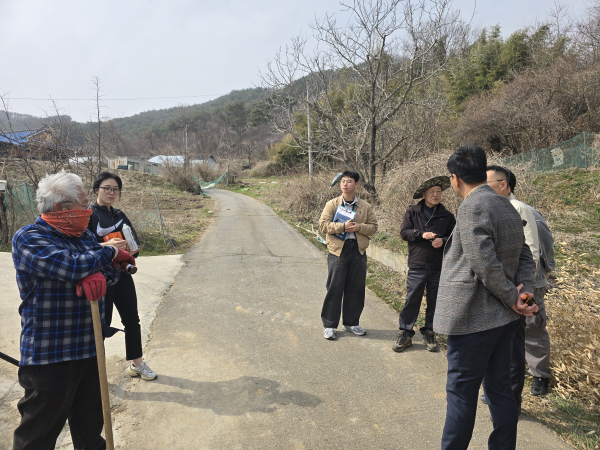 2025년 지적재조사사업 장평 적곡지구 현지 조사를 실시하고 있다.