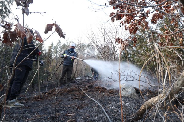 대형산불 특별대책 추진(3월 17일,  이원면 내리 산불 진화)