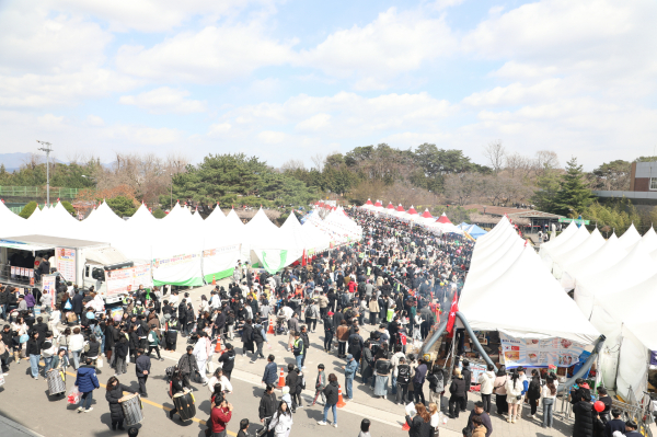 2025 논산딸기축제 모습