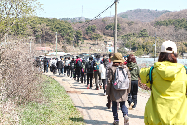 몽산성 시무나무 걷기행사 진행 모습