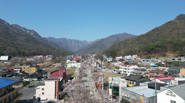 드론 활용 산불 감시 모습