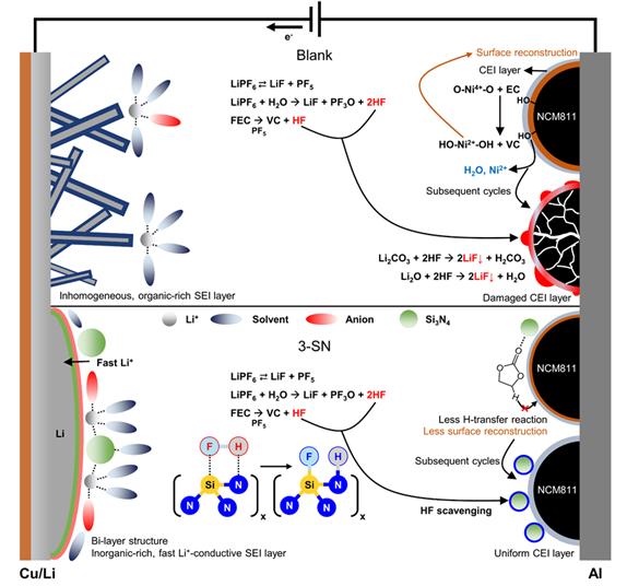 리튬 금속 전지에서 나노 질화규소 첨가제의 작동 메커니즘