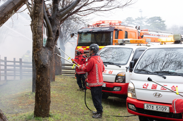 2025 대형 산림화재 대응훈련 진행 모습