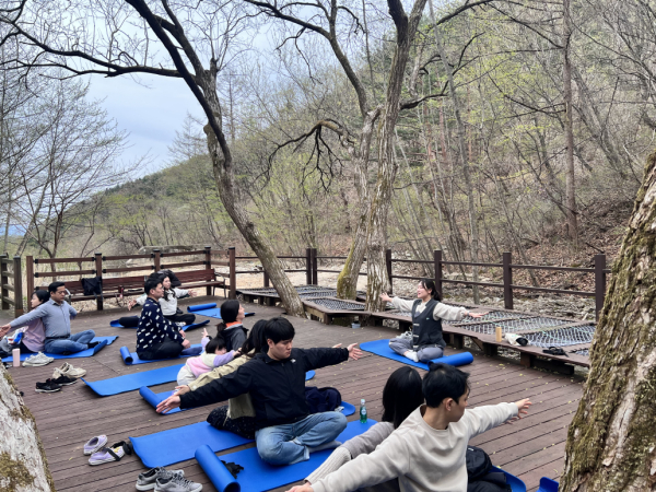 지난 12일 국립산림치유원에서 임신 부부들이 ‘숲속 산전 요가 명상’을 하고 있다.