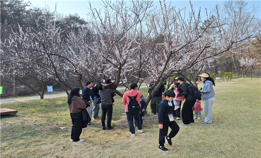 참여 가족들이 ‘놀며, 쉬며 달팽이 트레킹’ 프로그램 중 매화나무 아래에서 쉬며 자연을 느끼고 있다.