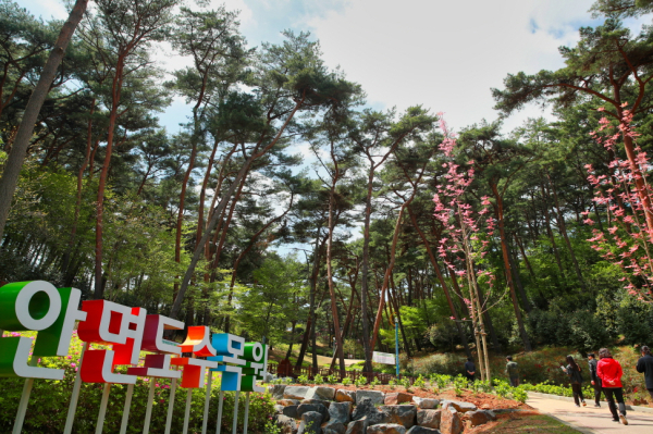 안면도 자연휴양림 모습.