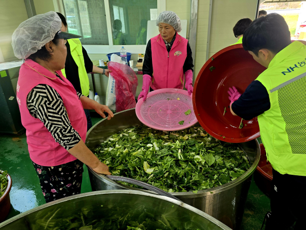 고향주무모임 임원들이 열무김치를 담그고 있다.