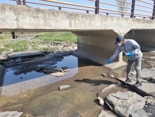 대전 서구 모기 유충 방제 장면