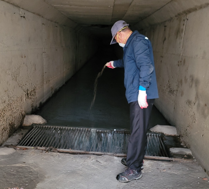 대전 서구 모기 유충 방제 장면